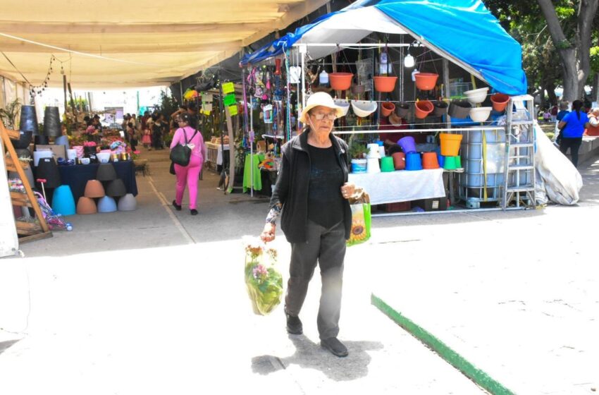 VISITANTES A SOLEDAD DISFRUTAN ÚLTIMA SEMANA DE LA FERIA DE LAS FLORES 2025