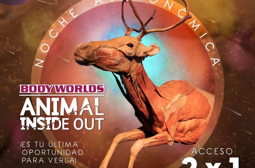 San Luis Potosí arranca agosto con un fin de semana lleno de cultura, ciencia, arte y aventura
