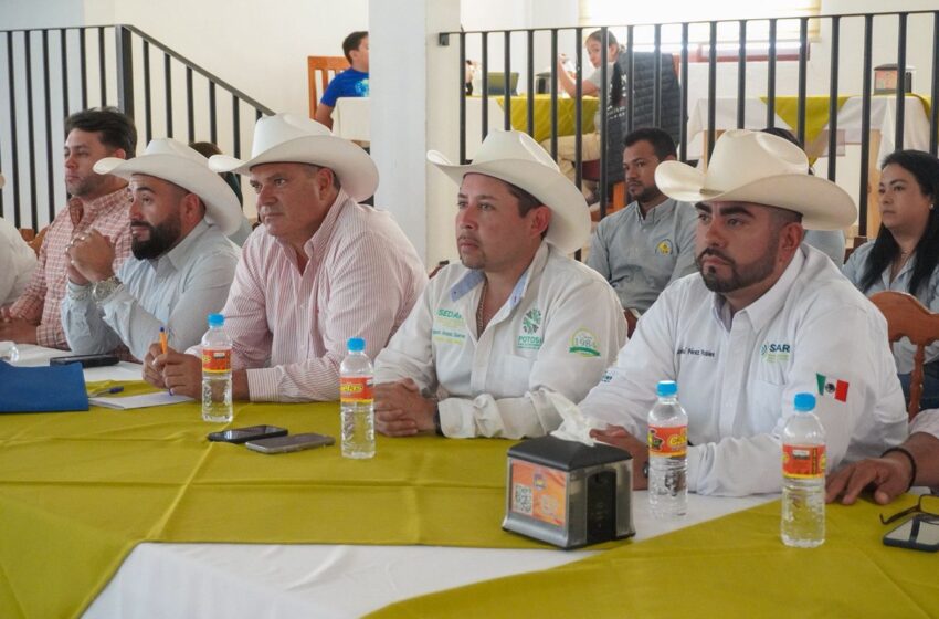  San Luis Potosí invierte más de 9 millones de pesos en la protección de cultivos con nuevas campañas contra plagas