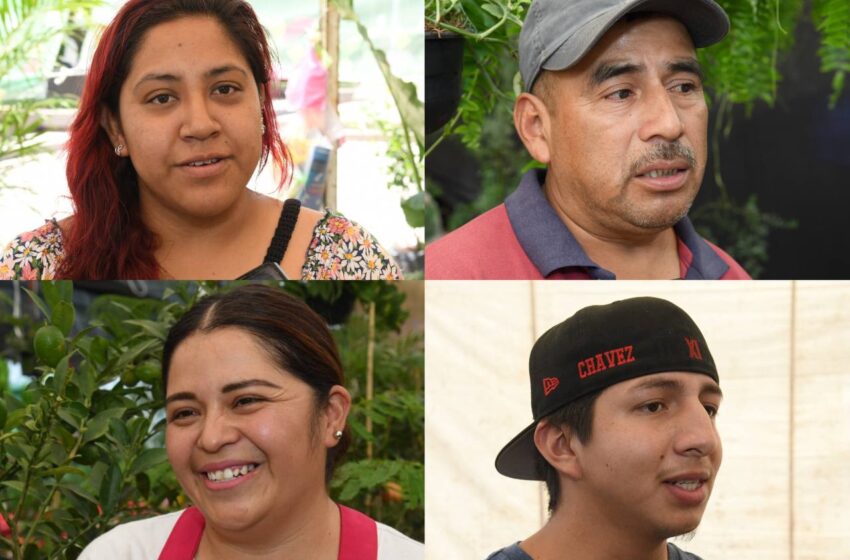 EXPOSITORES EN LA FERIA DE LAS FLORES EN SOLEDAD RECONOCEN PROMOCIÓN Y ALTAS VENTAS