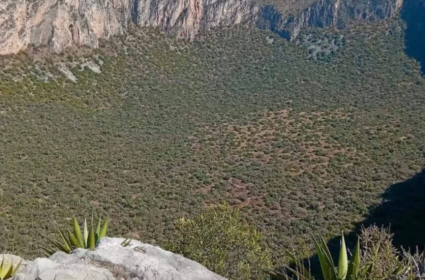  San Luis Potosí impulsa un desarrollo sostenible con acciones ambientales firmes