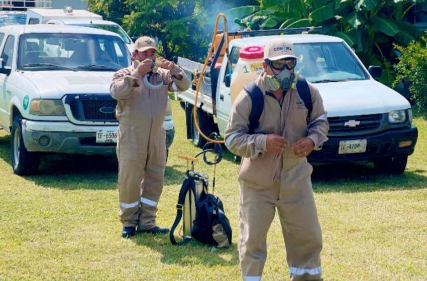  CON TRABAJO SIN LÍMITES, DISMINUYE DENGUE EN SAN LUIS