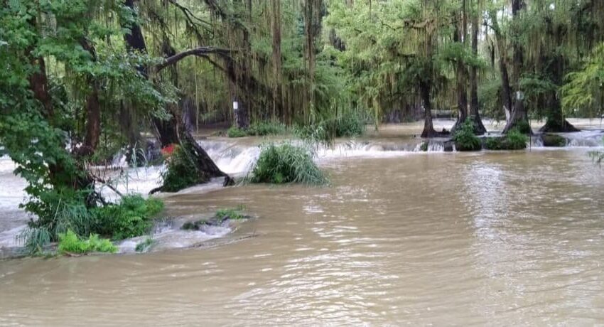 Protección Civil mantiene monitoreo por lluvias en San Luis Potosí; reportan cierres y deslaves