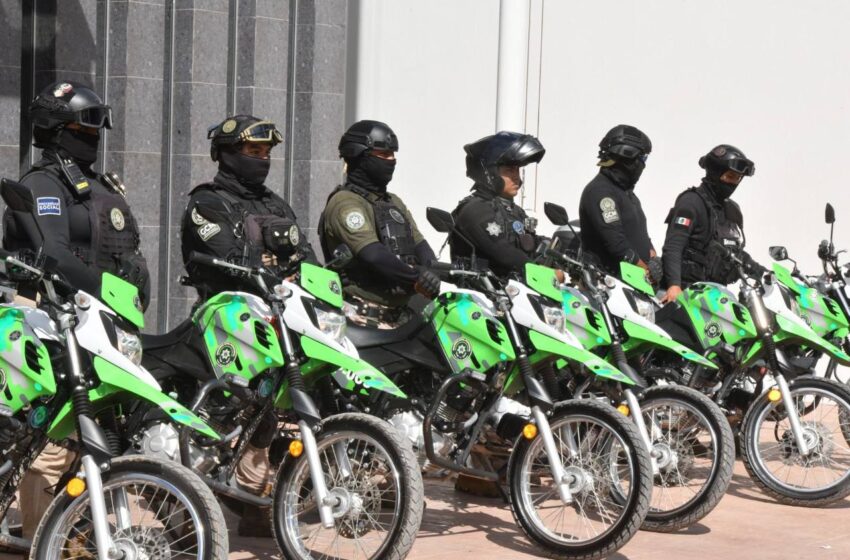DESDE SU INICIO DE OPERACIONES EN SOLEDAD, GRUPO “PANTERAS” DE LA GCM REPORTA RESULTADOS POSITIVOS