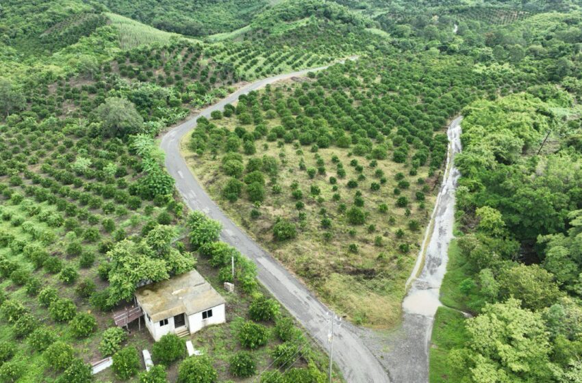 RICARDO GALLARDO CONSTRUYE OBRAS SIN LÍMITES EN LA HUASTECA SUR