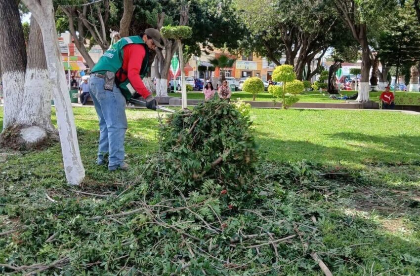MUNICIPIO DE SOLEDAD OFRECERÁ ATENCIÓN CIUDADANA ESENCIAL DURANTE FESTEJOS PATRIOS