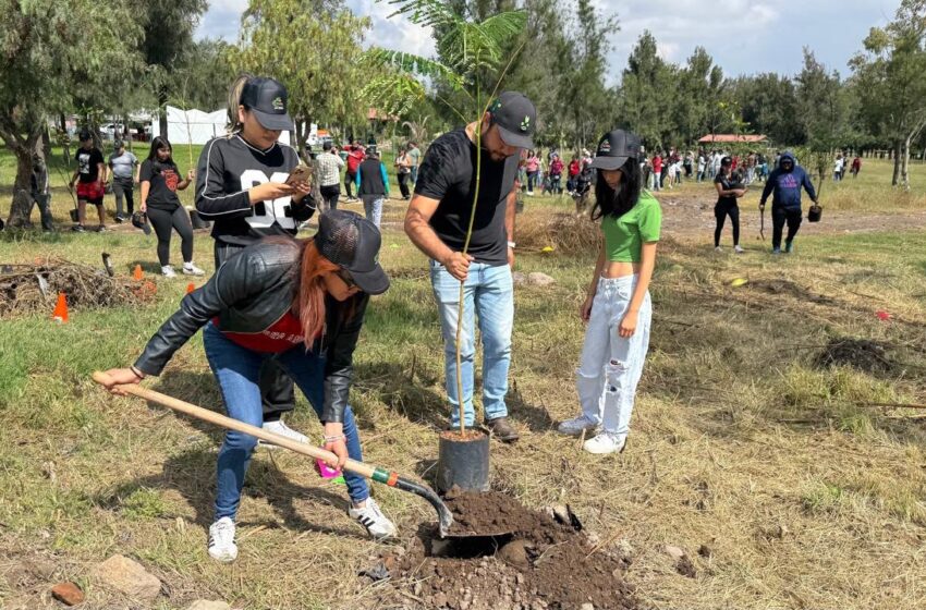  Avanza reforestación en Tangamanga I: más de 400 árboles por un San Luis más sustentable