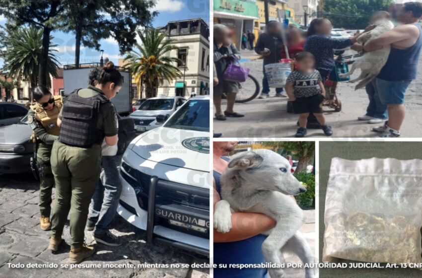  GUARDIA CIVIL ESTATAL DETIENE A HOMBRE QUE MALTRATABA A PERRITO EN LA CAPITAL POTOSINA