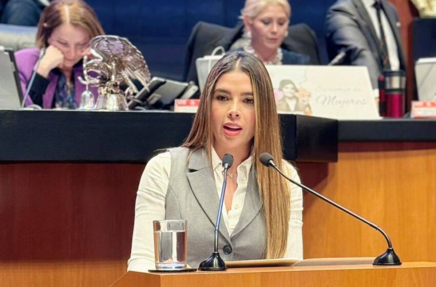 RUTH GONZÁLEZ SILVA PROPONE TIPIFICAR LA SUPLANTACIÓN DE IDENTIDAD COMO DELITO FEDERAL