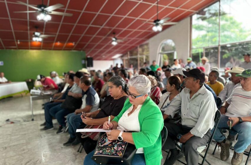 CRÉDITOS ACCESIBLES IMPULSAN LA RECUPERACIÓN ECONÓMICA EN LA HUASTECA