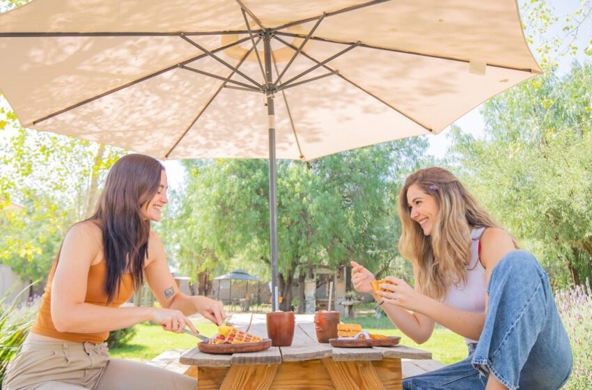  AYUNTAMIENTO DE SOLEDAD FORTALECE EL TALENTO TURÍSTICO LOCAL CON CAPACITACIÓN GRATUITA