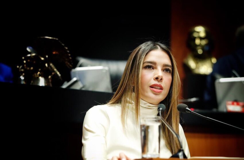  APRUEBA SENADO INICIATIVA DE RUTH GONZÁLEZ SILVA PARA ESTABLECER EL DÍA NACIONAL DEL GOBIERNO DIGITAL
