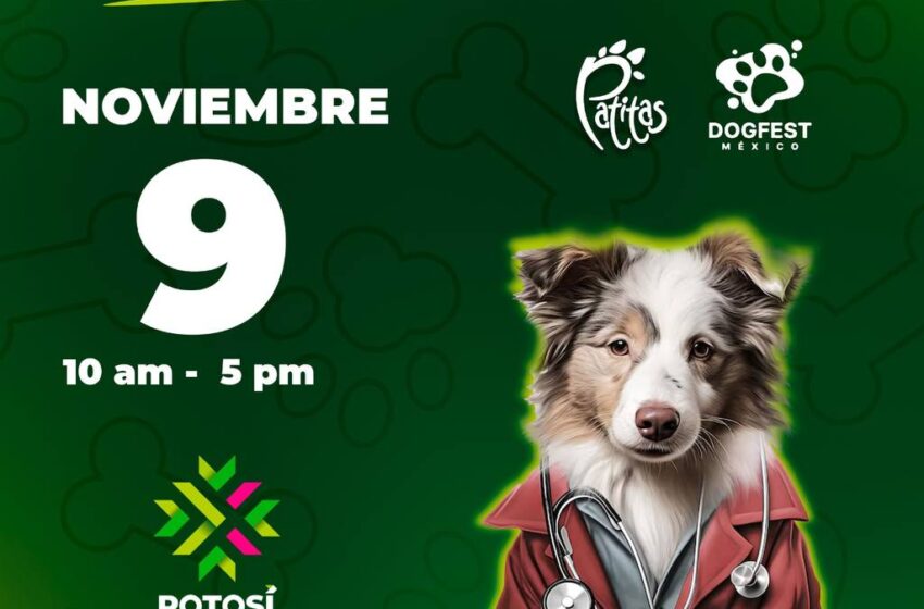  Gobierno estatal impulsa el bienestar y la adopción responsable de mascotas con la campaña “Sin Límites de Bienestar Perruno”