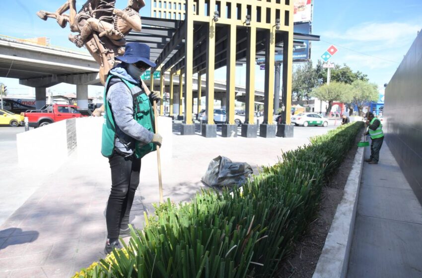  Ayuntamiento de Soledad retira siete toneladas de desechos en una semana