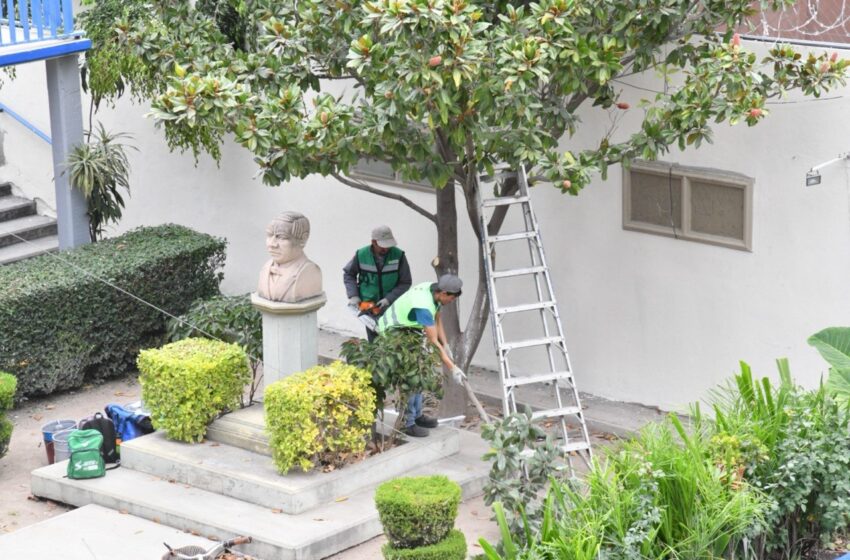  GOBIERNO DE SOLEDAD PONE EN MARCHA NUEVA CUADRILLA PARA FORTALECER IMAGEN URBANA