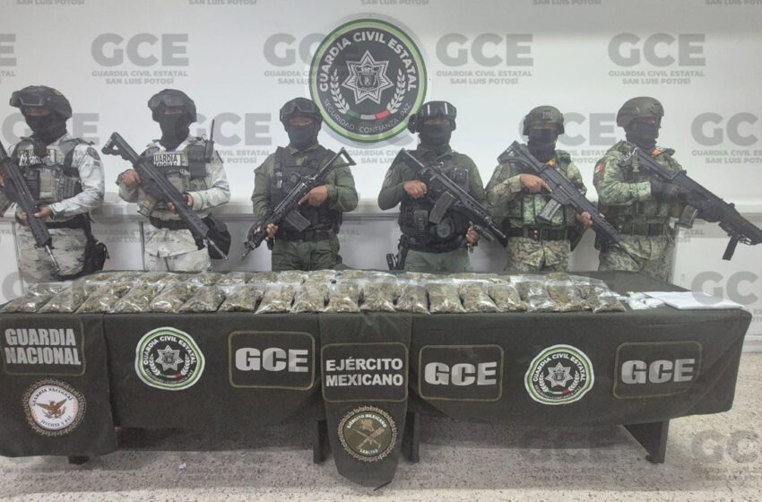  COORDINACIÓN ENTRE AUTORIDADES ESTATALES Y FEDERALES GENERA ASEGURAMIENTO DE DROGA EN VILLA DE POZOS