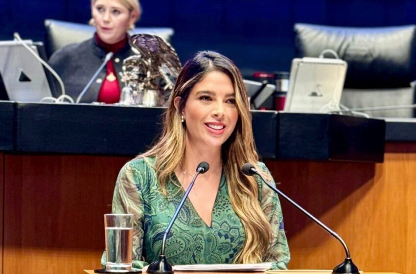  SENADO APRUEBA REFORMA DE RUTH GONZÁLEZ SILVA PARA VISIBILIZAR Y ATENDER LAS NECESIDADES DE NIÑAS Y MUJERES AUTISTAS