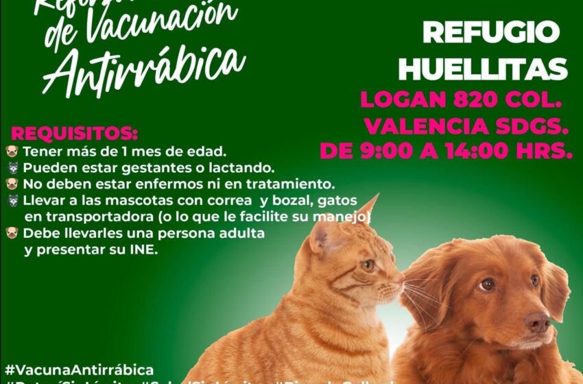  GOBIERNO ESTATAL FORTALECE ACCIONES DE BIENESTAR ANIMAL EN DICIEMBRE