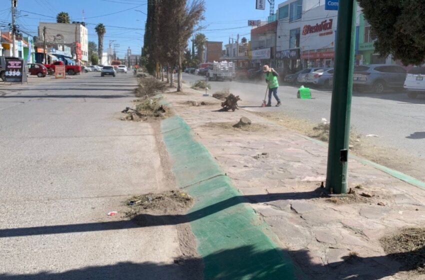  Continúan labores de limpieza en espacios públicos de Soledad de Graciano Sánchez