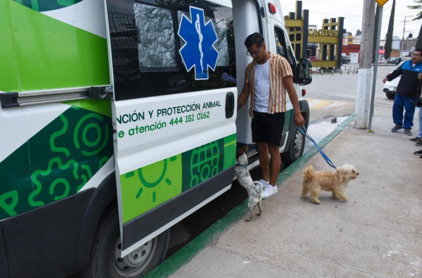  Ambudog brindó más de 5 mil atenciones veterinarias en Soledad durante 2025