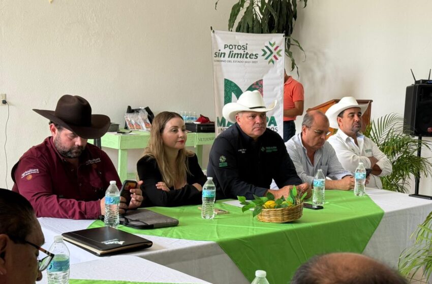  San Luis Potosí extiende cerco sanitario ganadero ante riesgo de gusano barrenador