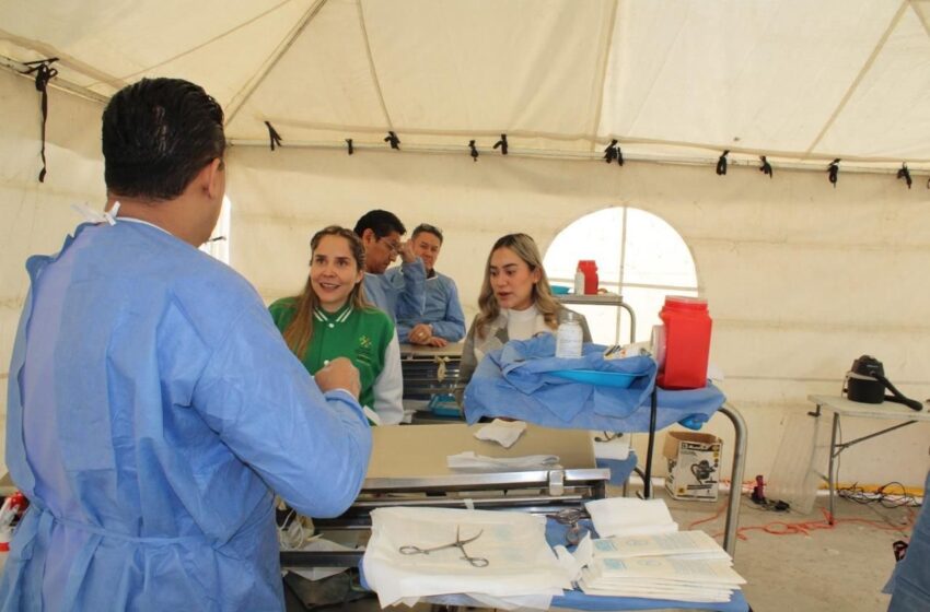  Programa “Visitando Corazones” amplía atención con esterilización de mascotas