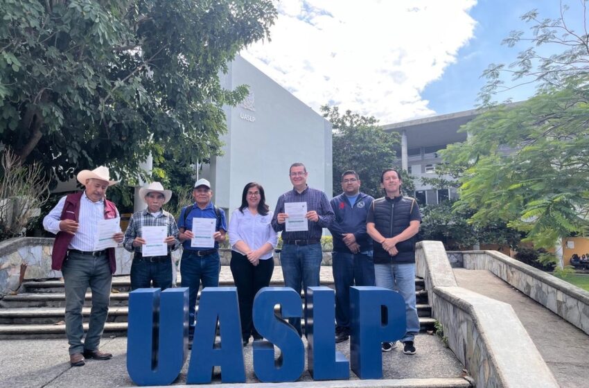 Proyecto de investigadora de la UASLP impulsa nuevas oportunidades para productores de la Huasteca Sur