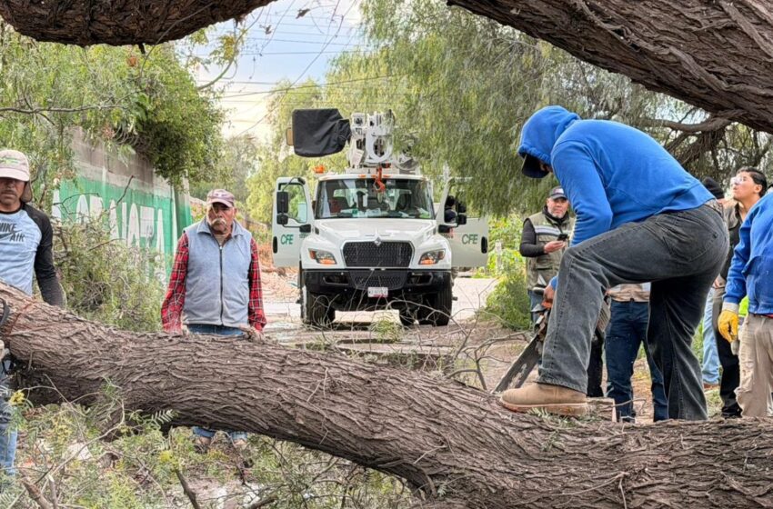  Protección Civil de Soledad activa atención permanente ante fuertes vientos