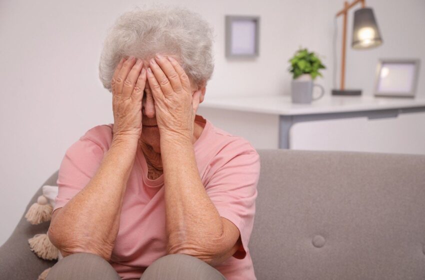  Proyecto de la UASLP analiza vínculo entre exposición al plomo, nutrición y deterioro cognitivo en adultos mayores