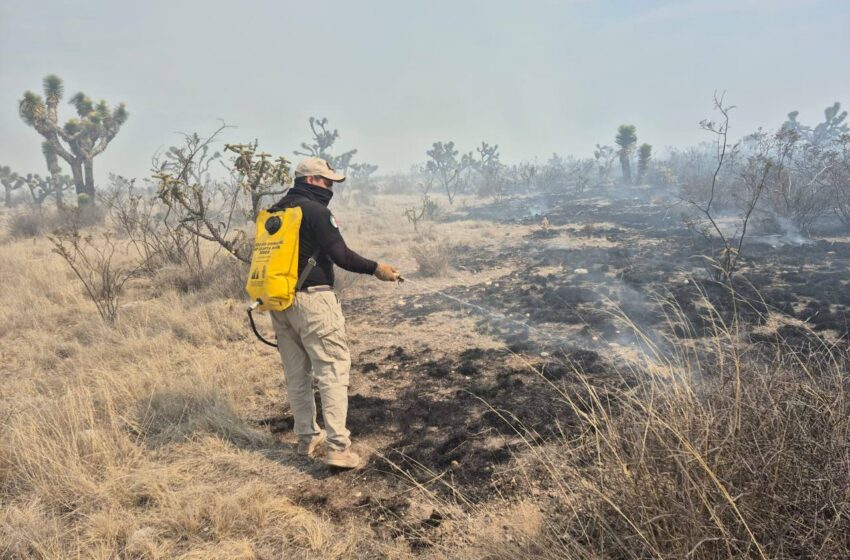  Operativo estatal logra contener incendio forestal en Santo Domingo