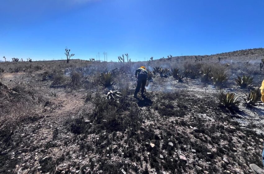  Incendio en Santo Domingo queda bajo control total; continúa vigilancia para evitar reactivaciones