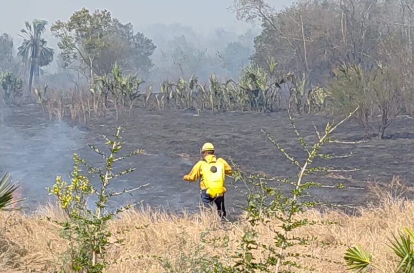  GOBIERNO ESTATAL DIFUNDE MEDIDAS PARA PREVENIR INCENDIOS FORESTALES