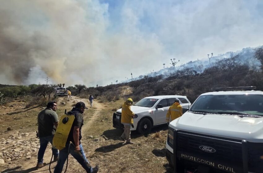  Brigadistas avanzan en el control de incendios forestales en varios municipios de San Luis Potosí