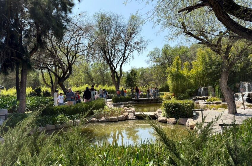  Más de 91 mil personas acudieron a actividades culturales en Parques Tangamanga durante el fin de semana