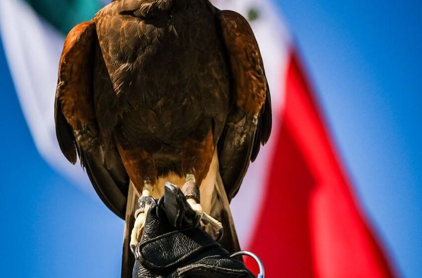  Pablo Lemus participa en ceremonia por el Día de la Bandera en Zapopan