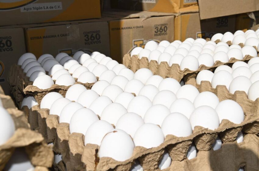  Ayuntamiento de Soledad entrega paquetes de huevo a familias en colonias de la zona oriente