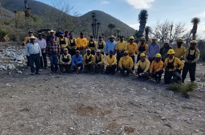  Autoridades reportan liquidación de incendios y una detención por presunta provocación de siniestros