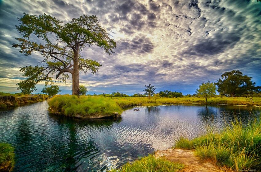  Aprueban Plan de Manejo para la conservación del manantial Los Peroles en Rioverde