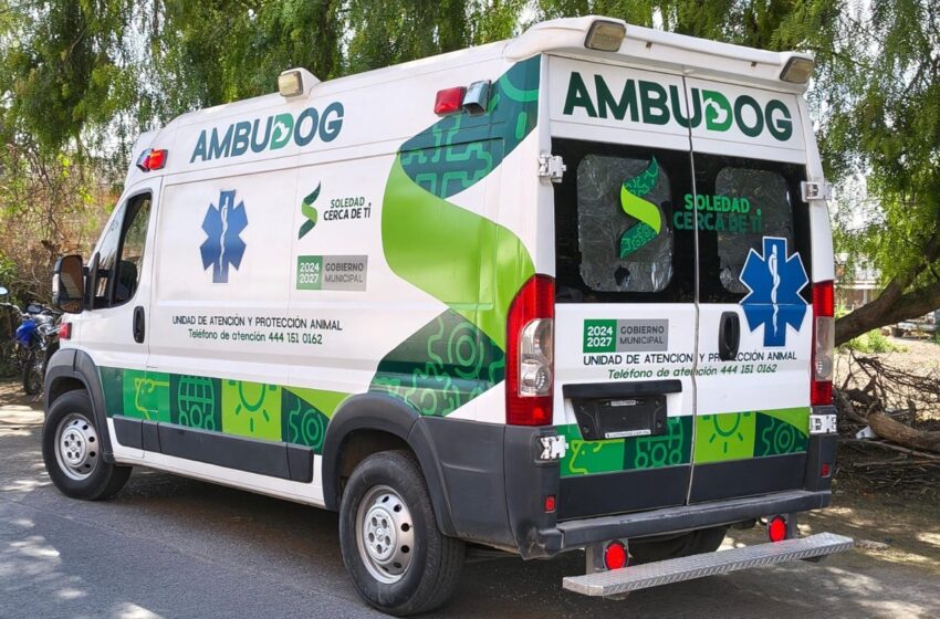  Ambudog mantiene vacunación antirrábica diaria y alista nuevas jornadas de esterilización en Soledad