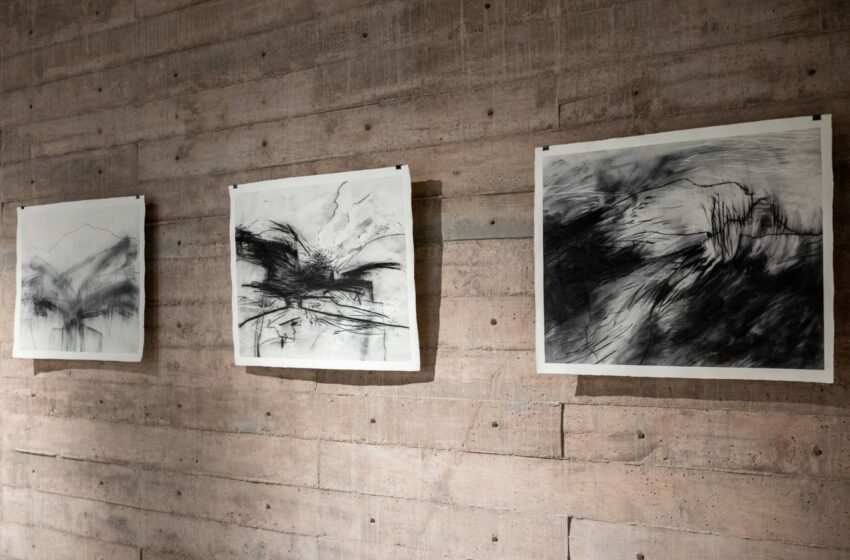  MUNI inaugura tres exposiciones y abre su programación de primavera con entrada libre