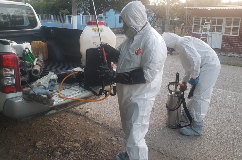  San Luis Potosí intensifica acciones preventivas contra el gusano barrenador