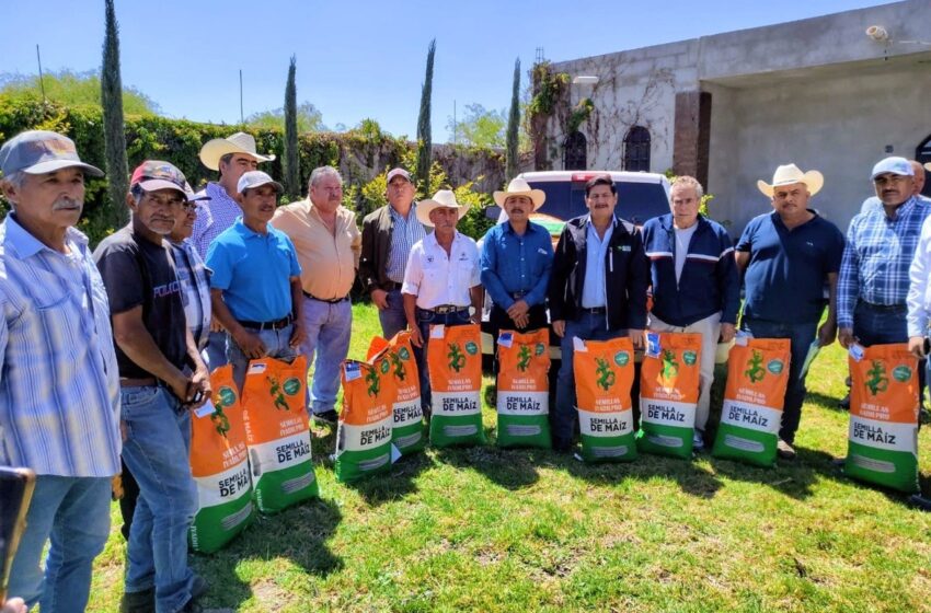  PRODUCTORES SOLEDENSES RECIBEN SEMILLA DE MAÍZ ELOTERO POR PARTE DEL AYUNTAMIENTO