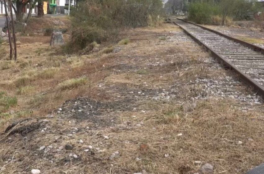  Estudiante de la UASLP destaca a nivel nacional con obra sobre desaparición forzada