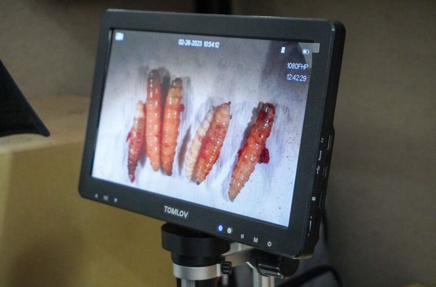  ESTADO ESTABLECIÓ EL CENTRO DE EMERGENCIAS SANITARIAS