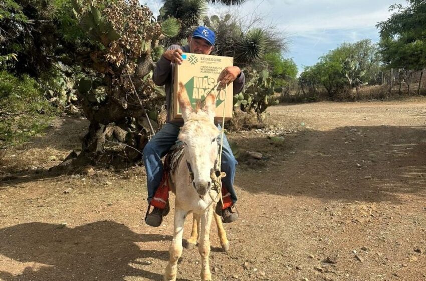  Seguridad Alimentaria avanza en todo San Luis Potosí y alista cierre de su primera etapa en los 59 municipios