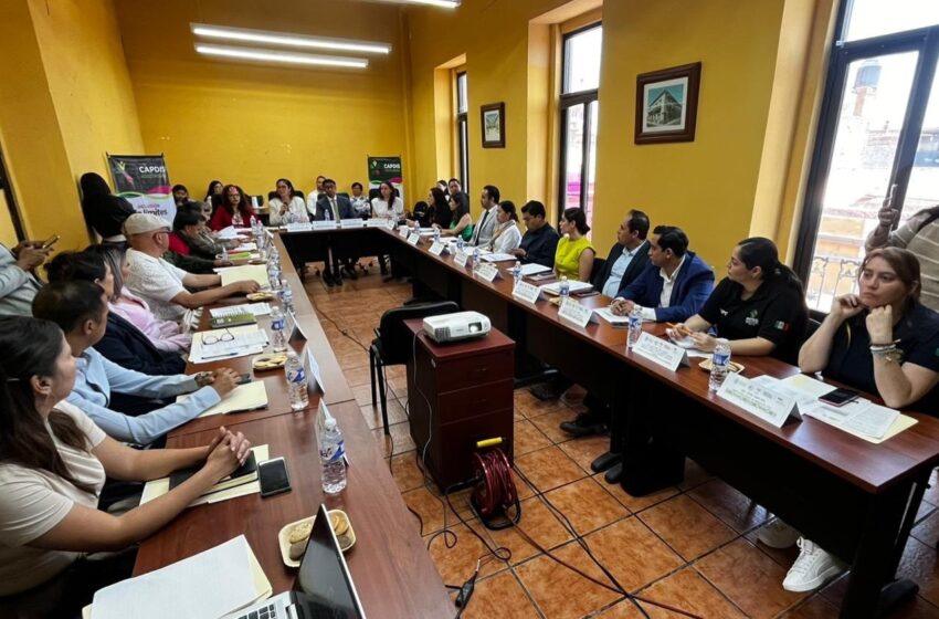  SECRETARÍA DE SEGURIDAD SE SUMA A LOS ESFUERZOS PARA MEJORAR ATENCIÓN A PERSONAS CON DISCAPACIDAD