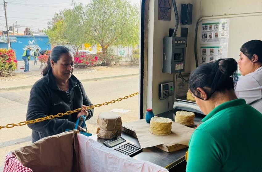  San Luis blinda el precio de la tortilla y la mantiene en 14 pesos para apoyar a las familias