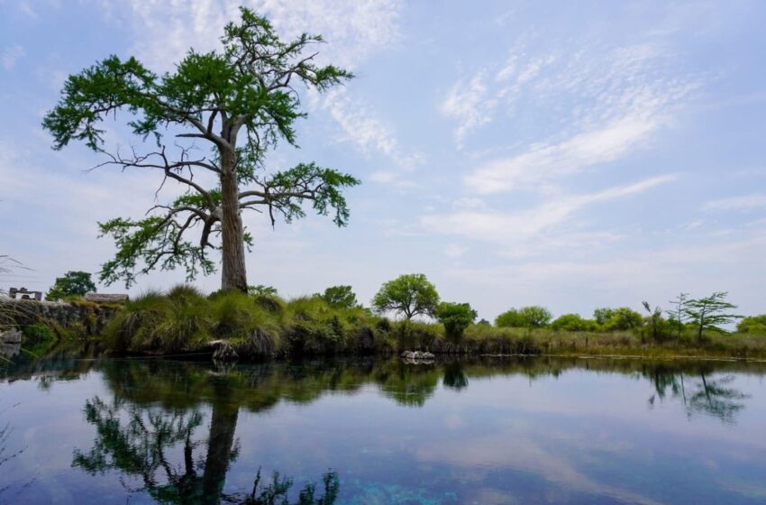  Los Peroles va por blindaje ecológico: San Luis acelera protección de uno de sus tesoros naturales en Rioverde