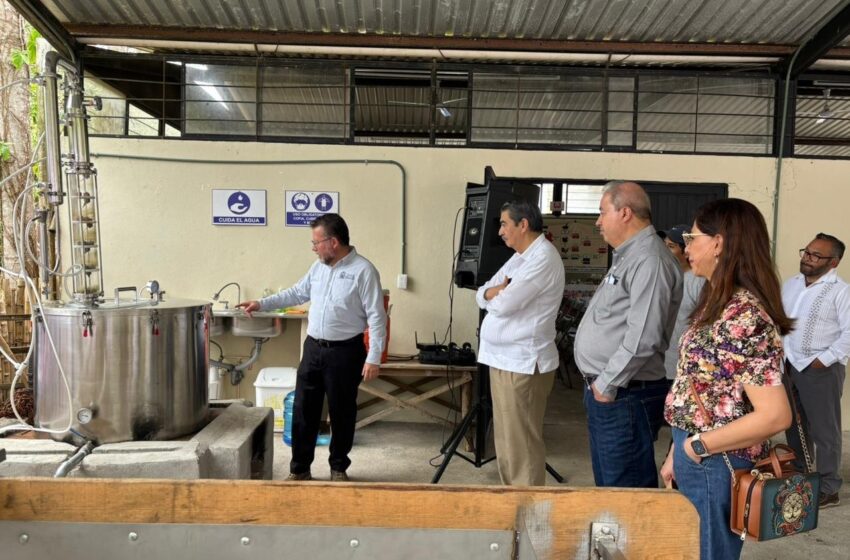  UASLP impulsa innovación en la Huasteca y lleva tecnología directa a productores de Tanlajás