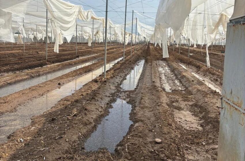  Tromba golpea cultivos y viviendas en Bocas y Villa de Arista; Estado activa diagnóstico y plan de apoyo